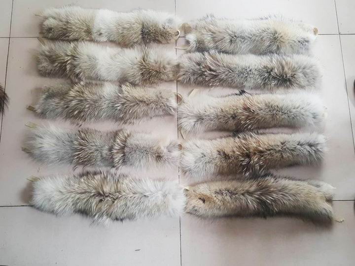 毛領(lǐng)行業(yè)，你繞不過(guò)去這些的坑
