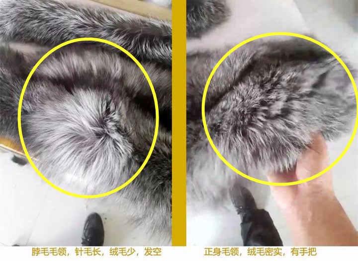 387 - 《創(chuàng)始人說 - 買皮草毛領(lǐng)衣服毛領(lǐng)，除了價(jià)格，廠家不會(huì)告訴你下面這些》