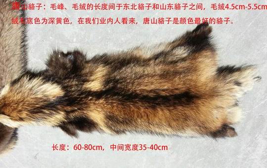 哪種毛領(lǐng)好？站在廠家的角度說(shuō)一說(shuō)-677