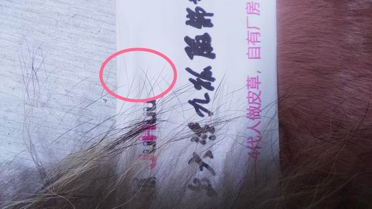 真假狐貍毛領(lǐng)圖片對比，主要看哪里？-685