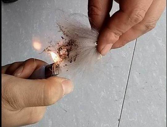 真狐貍毛怎么鑒別？-694