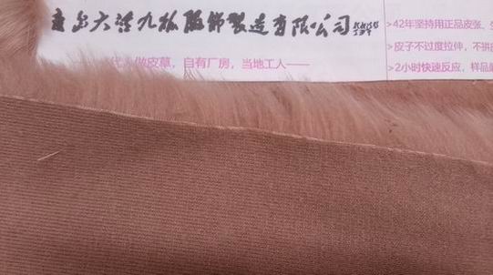 真狐貍毛怎么鑒別？-694