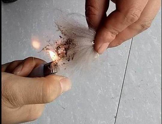 狐貍毛真假？看這幾個(gè)地方就能分開！-697