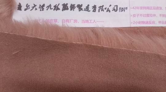 狐貍毛真假？看這幾個(gè)地方就能分開！-697