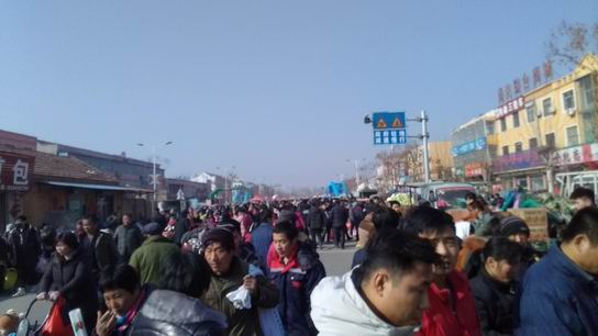 轟轟烈烈的2019灰家過年結(jié)束了，小結(jié)這幾天的經(jīng)歷