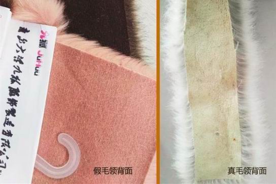 真假狐貍毛領(lǐng)子怎么區(qū)分不上當？-742