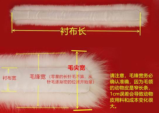 毛領(lǐng)-帽領(lǐng)-毛條-帽條，四個稱呼什么區(qū)別呢？-755