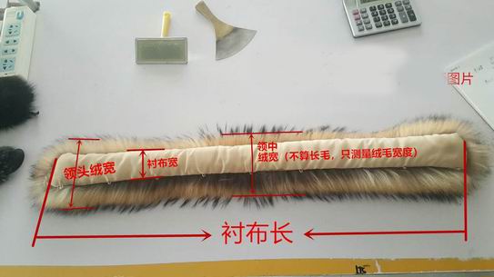 毛領(lǐng)-帽領(lǐng)-毛條-帽條，四個稱呼什么區(qū)別呢？-755