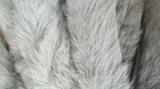 常用的衣服毛領(lǐng)有哪些動(dòng)物毛的？-766